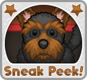 Sneak Peek: Pets!